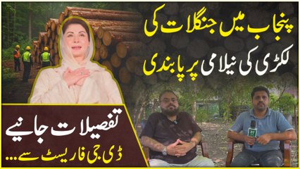 Punjab mei junglaat ki lakri ki nelami per pabandi, tafsilaat janiye DG Forest se…