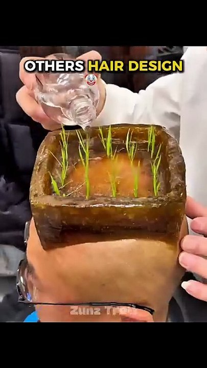 Others Hair Design VS This Lady 🔥🤓🤯 #edit #troll #trollface #viral #shorts #trending