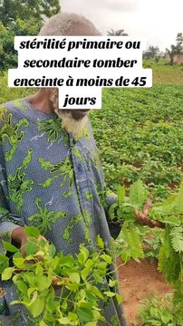 TOMBÉ ENCEINTE RAPIDEMENT, RITUEL GROSSESSE ET FERTILITÉ, TOMBER ENCEINTE À MOINS DE 45 JOUR, ENCEINTE