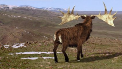 Extinct Complete Series Episode Episode 5 -The Irish Elk