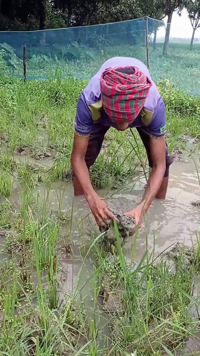 গ্রামের কৃষকদের নতুন পানি সেচ পদ্ধতি 🔥 | নতুন আবিষ্কার! | Water Irrigation Innovation #shorts