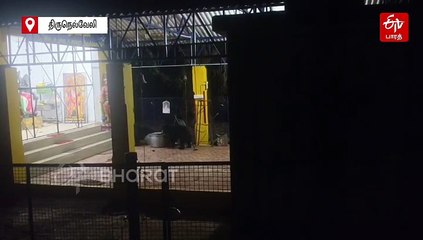 கோயிலுக்குள் வந்த 3 கரடிகள்! வைரலாகும் வீடியோ!