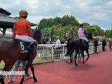 Le Journal des courses du centre-est du 18 septembre - Le journal des courses du centre-est - TL7, Télévision loire 7