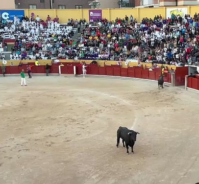 Segundo encierro de las Ferias y Fiestas de Guadalajara 2025