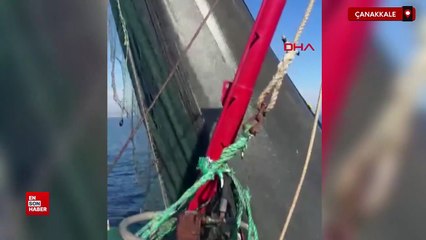 Marmara Denizi'nde müsilaj tehdidi