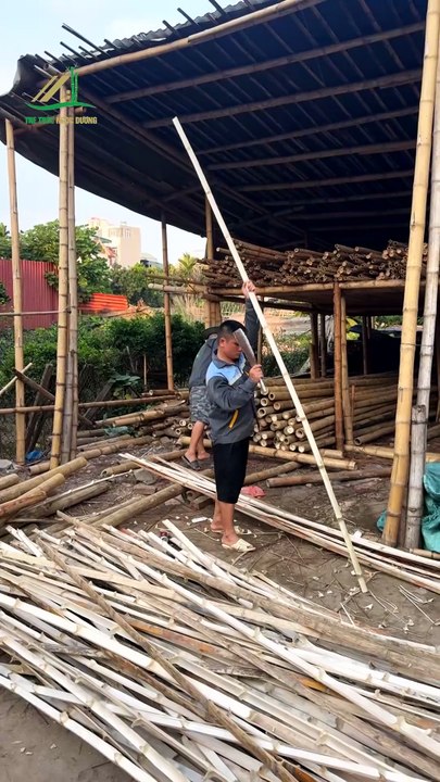 Khám Phá Bước Chuẩn Bị Tre Lợp Mái Và Làm Khung Cột Tại Xưởng Tre Trúc Ngọc Dương