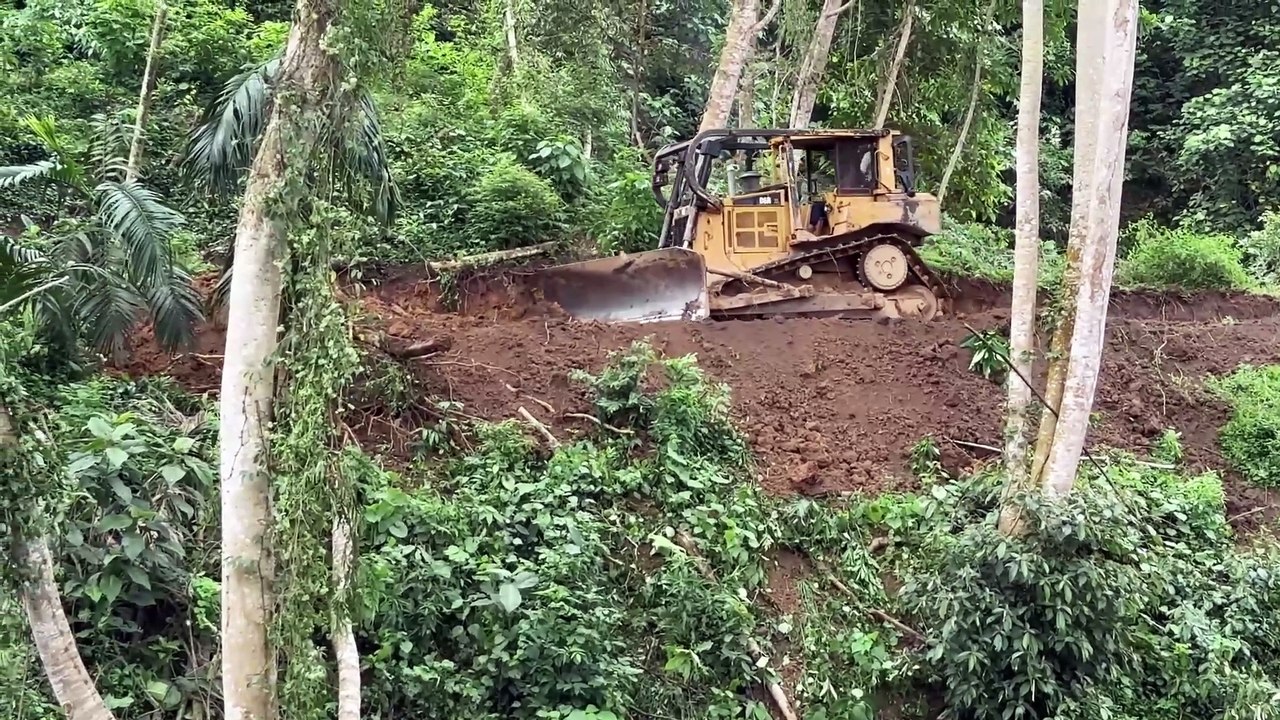 Bulldozer D6R XL Carves Mountain Slopes for New Roads
