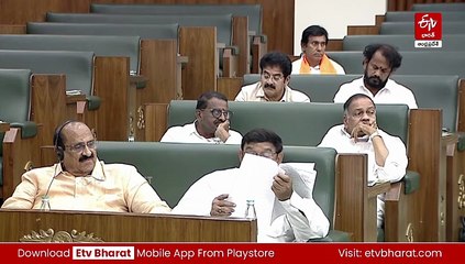 ప్లాస్టిక్‌ నియంత్రణ అందరి బాధ్యత: డిప్యూటీ సీఎం పవన్ కల్యాణ్​