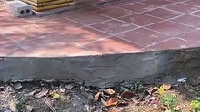 Làm thế nào để dựng được căn nhà tre ở giữa hồ nước - Tre trúc Ngọc Dương