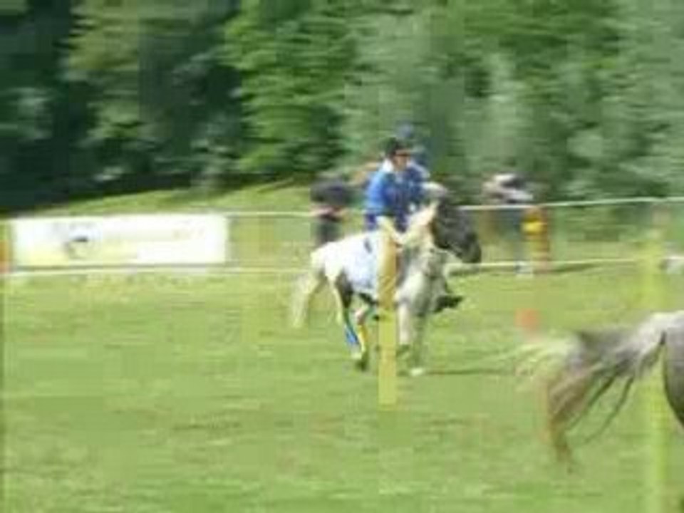 2 Drapeaux - Peillard Espoir