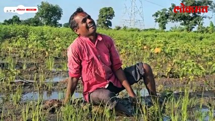 राज्यात अतिवृष्टीनं अनोनात नुकसान..मन हेलावणारा शेतकऱ्यांचा आक्रोश..काय घडलं?