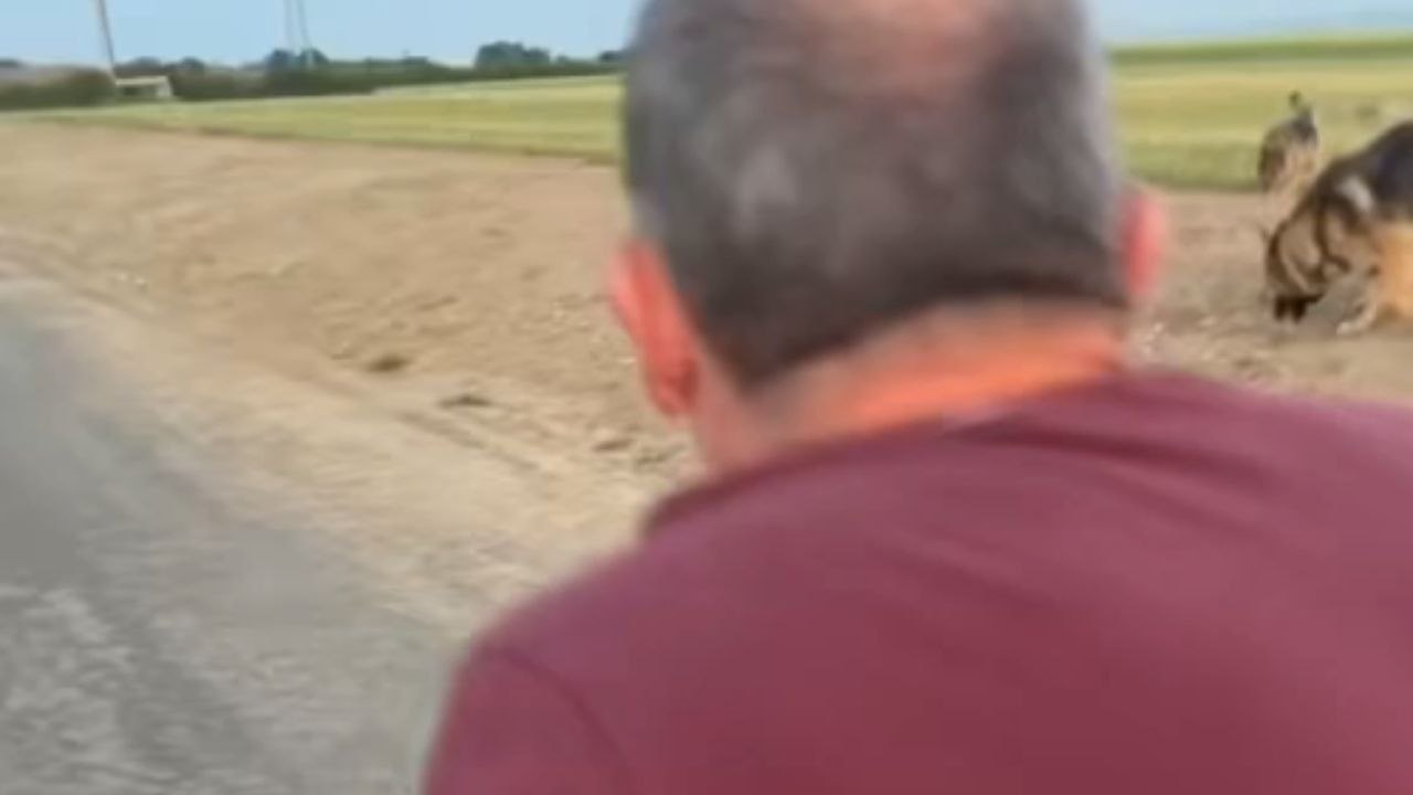 Girl takes dog for a walk but gets attacked by...