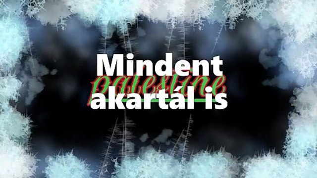 Palestine ¦ Mindent akartál (dalszöveges audió)