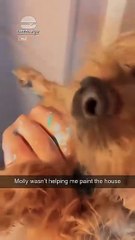 Look at what you've done Molly