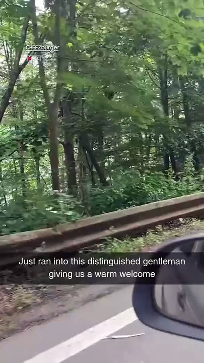 Bro was looking for a ride, but they didn’t catch the hint.