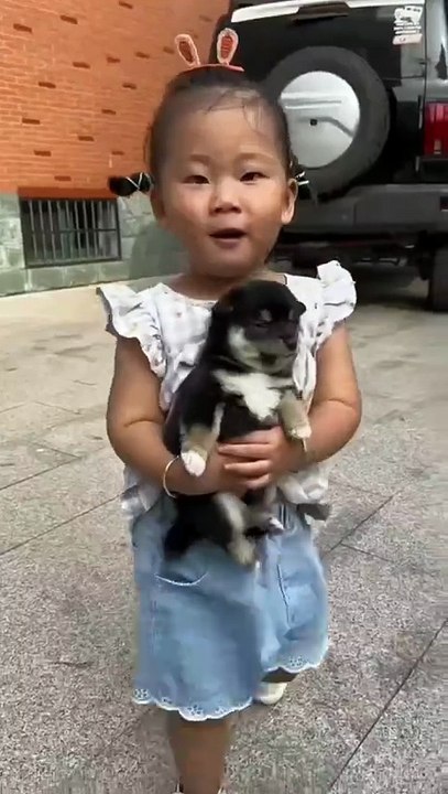 The little girl loves  puppy . A beautiful moment #87