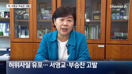 “지라시 남매”…국민의힘, 서영교·부승찬 고발 방침