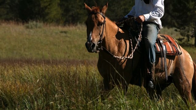 Ghost Riders in the Sky (Stan Jones / Johnny Cash) | Fresh Music Arrangement (Cover Song)