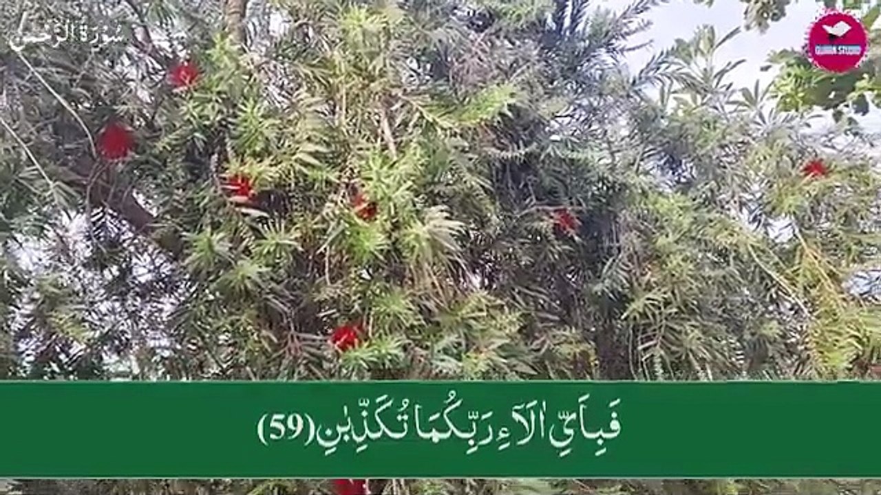 #islamicstatus #reels #foryou  #viralvideo #viral