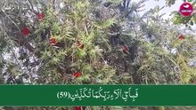 #islamicstatus #reels #foryou  #viralvideo #viral