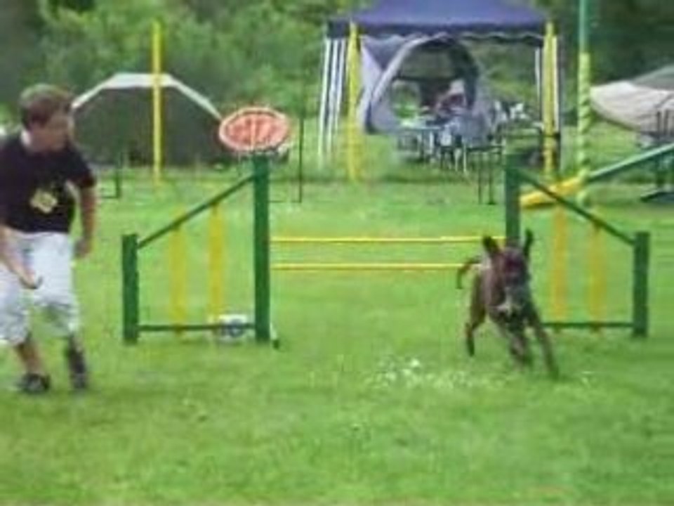 Jumping joeuf