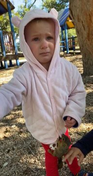 Girl Gets Stunned as Squirrel Crawls on Her Clothes