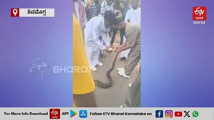 ಹೆಬ್ಬಾವುಗಳ ಬಾಯಿಗೆ ಗಮ್ ಟೇಪ್ ಹಾಕಿ ಹಿಂಸೆ ನೀಡಿದ ವಿಡಿಯೋ ವೈರಲ್; ಆರೋಪಿ ವಿರುದ್ದ ಪ್ರಕರಣ ದಾಖಲು