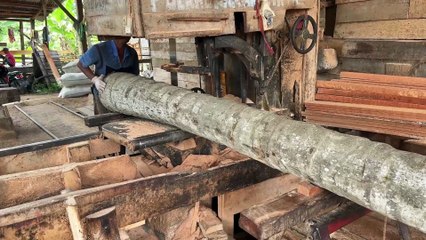 Tips for Determining the Size of 5x5 Coconut Wood Blocks with a Sawmill Machine