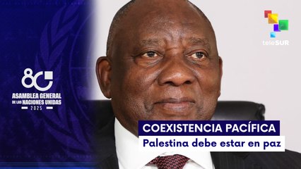 Ramaphosa: Pedimos a todos los Estados que reconozcan al Estado de Palestina
