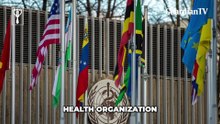 Cancer cure: Russia to launch vaccines in 2025