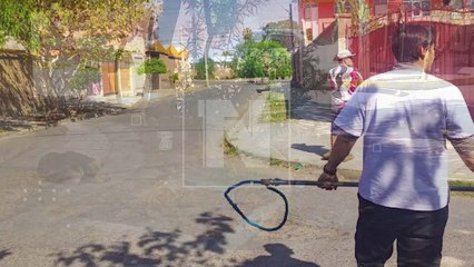 “¡No lo quisieron atender!”: dijo la mamá del joven fue mordido por canes en sus partes íntimas