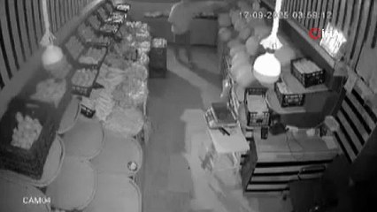 Önce paraları sonra meyveleri çaldı! O anlar kamerada