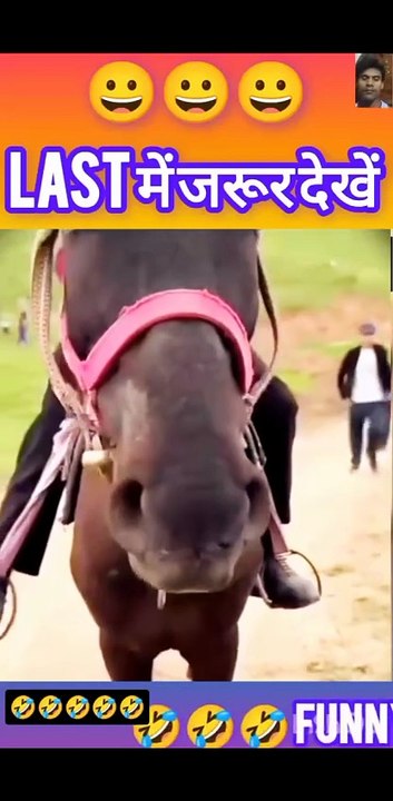 Funny horse #funny #comedy #video