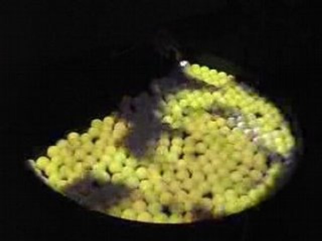 Ambre  Fluide Installation interactive