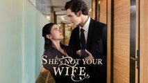She Is Not Your Wife - Love Actually All Around