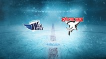 Highlights von Schw. Wild Wings - Kölner Haie