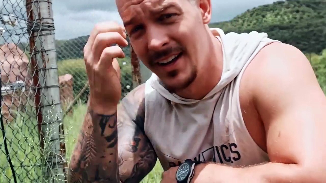 Walk with the Gigant Lion Snow -