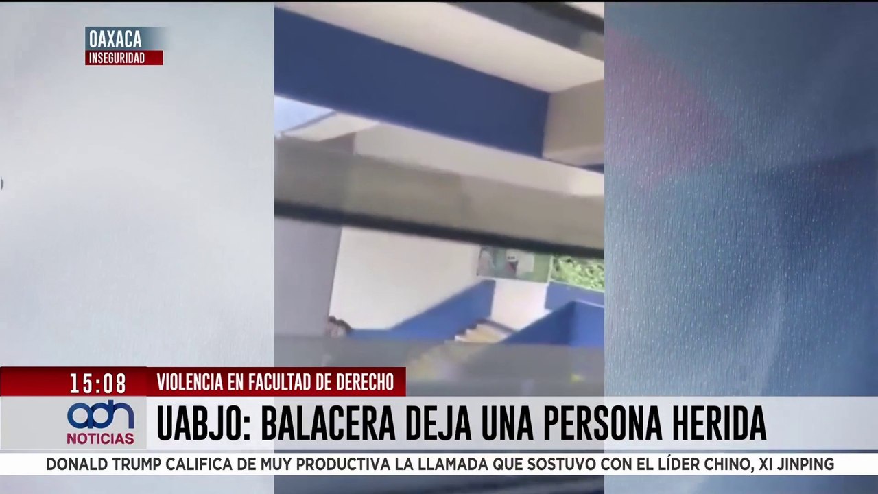Vecinos exigen justicia por 6 perros envenenados en Los Reyes La Paz, Edomex
