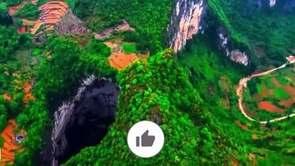 Visual Heaven-2: Jungle & Sea Animals 🐾