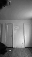 you gotta get it done!!