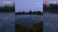 清晨「弄魚」 銀白色虱目魚躍出水面宛如花火秀