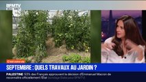 Quels sont les travaux à faire dans votre jardin en septembre?