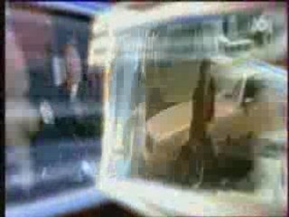 Flic de Shanghai Generique