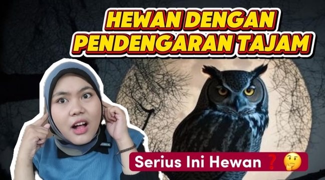 Ini 4 Hewan dengan Pendengaran Tajam-Serius Ini Hewan?