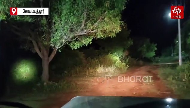 மயக்க ஊசி போட வந்த மருத்துவரை தாக்கிய ‘ரோலக்ஸ்’ காட்டு யானை!