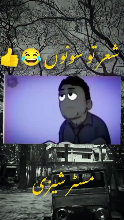 The Mr shazy for videos the WhatsApp status for videos