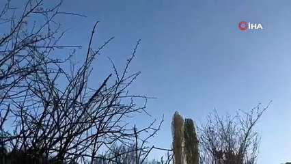 Yanan ormanda açan çiçek gönülleri ısıttı