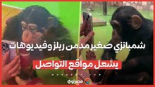شمبانزي صغير مدمن ريلز وفيديوهات يشعل مواقع التواصل