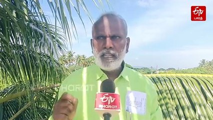 ஈடிவி பாரத் செய்தி எதிரொலி: பட்டாசு ஆலை தொழிலாளர்களுக்கு கிடைத்த இழப்பீடு!