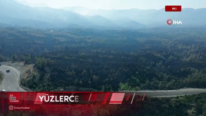 Muğla'da yangın felaketinin boyutu drone görüntüleriyle ortaya çıktı